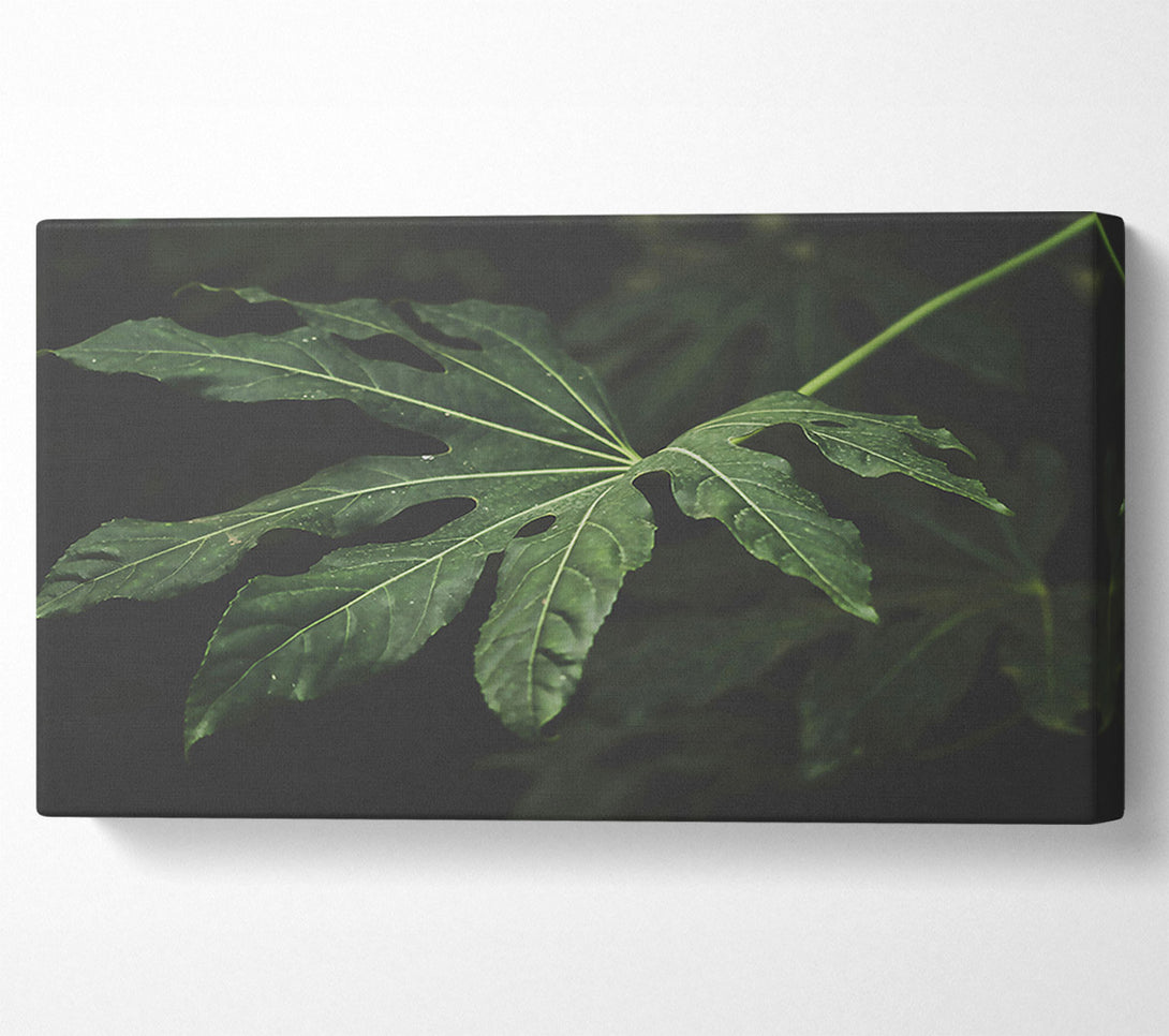  A Canvas Print of Emerald Leaf Shadow Canvas Wall Art