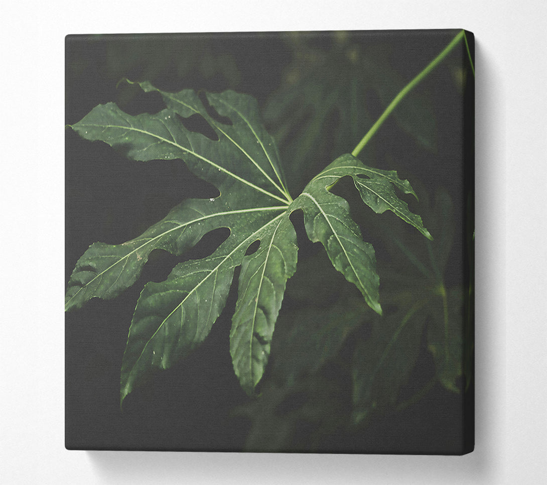  A Canvas Print of Emerald Leaf Shadow Canvas Wall Art
