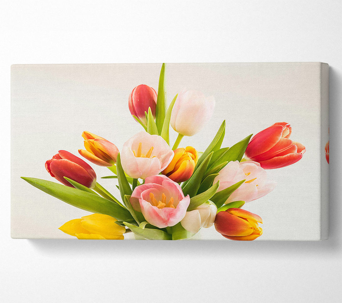  A Canvas Print of Pink And Red Tulips Canvas Print