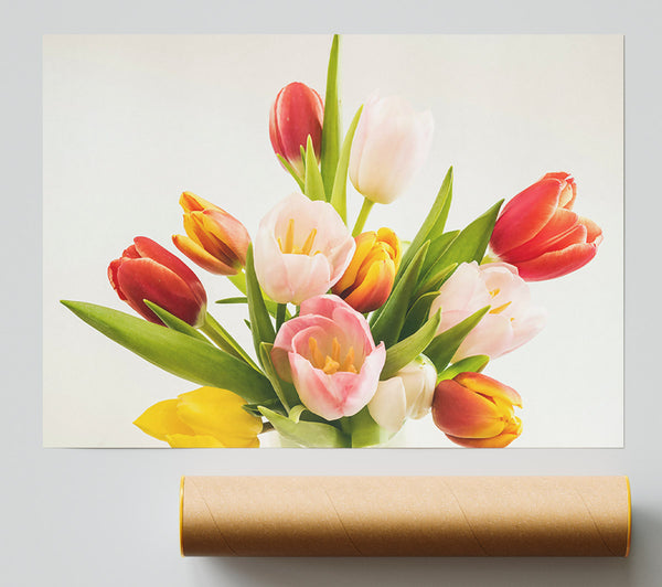 Pink And Red Tulips Print
