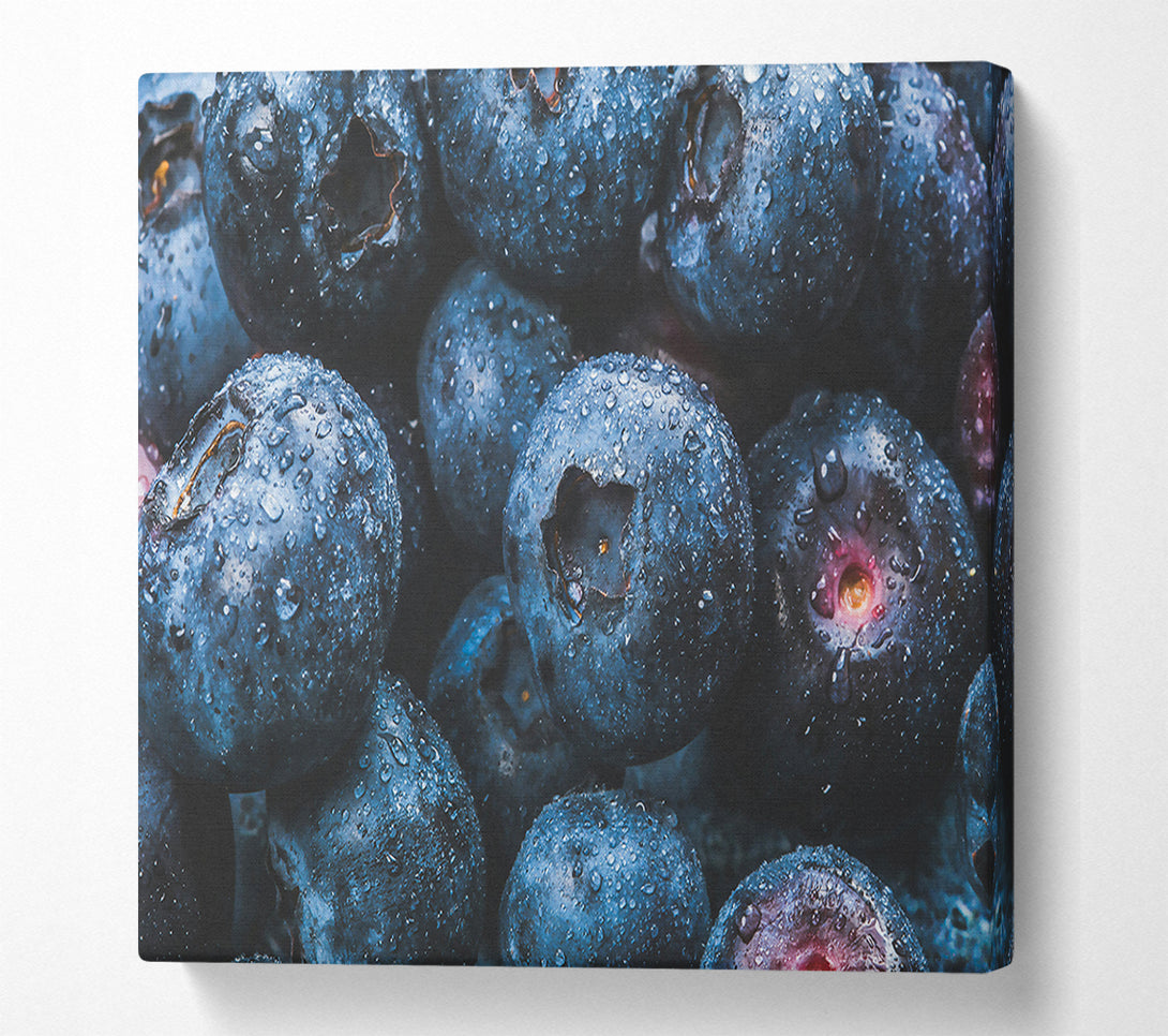  A Canvas Print of Indigo Blueberry Drops Canvas Print