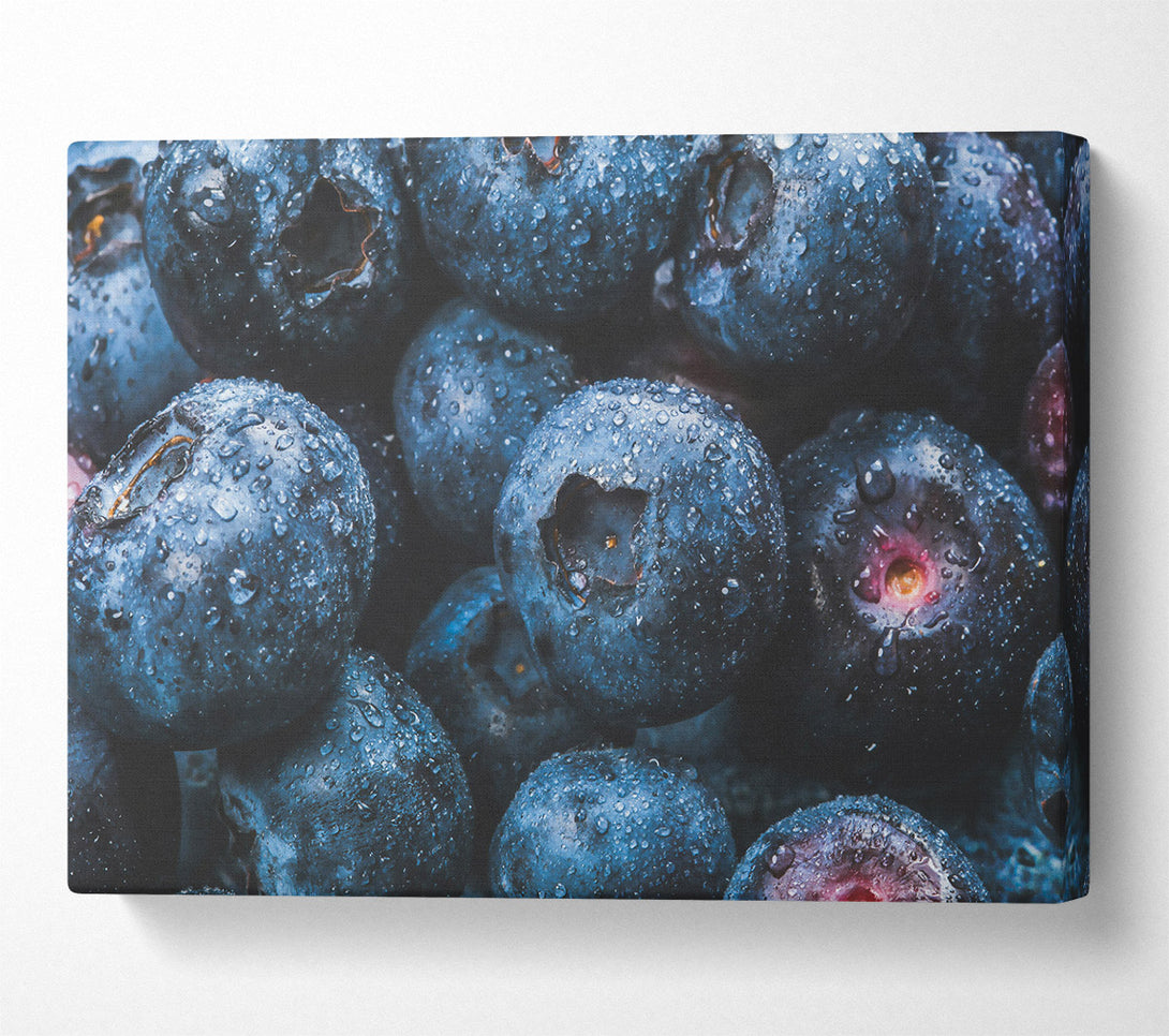  A Canvas Print of Indigo Blueberry Drops Canvas Print