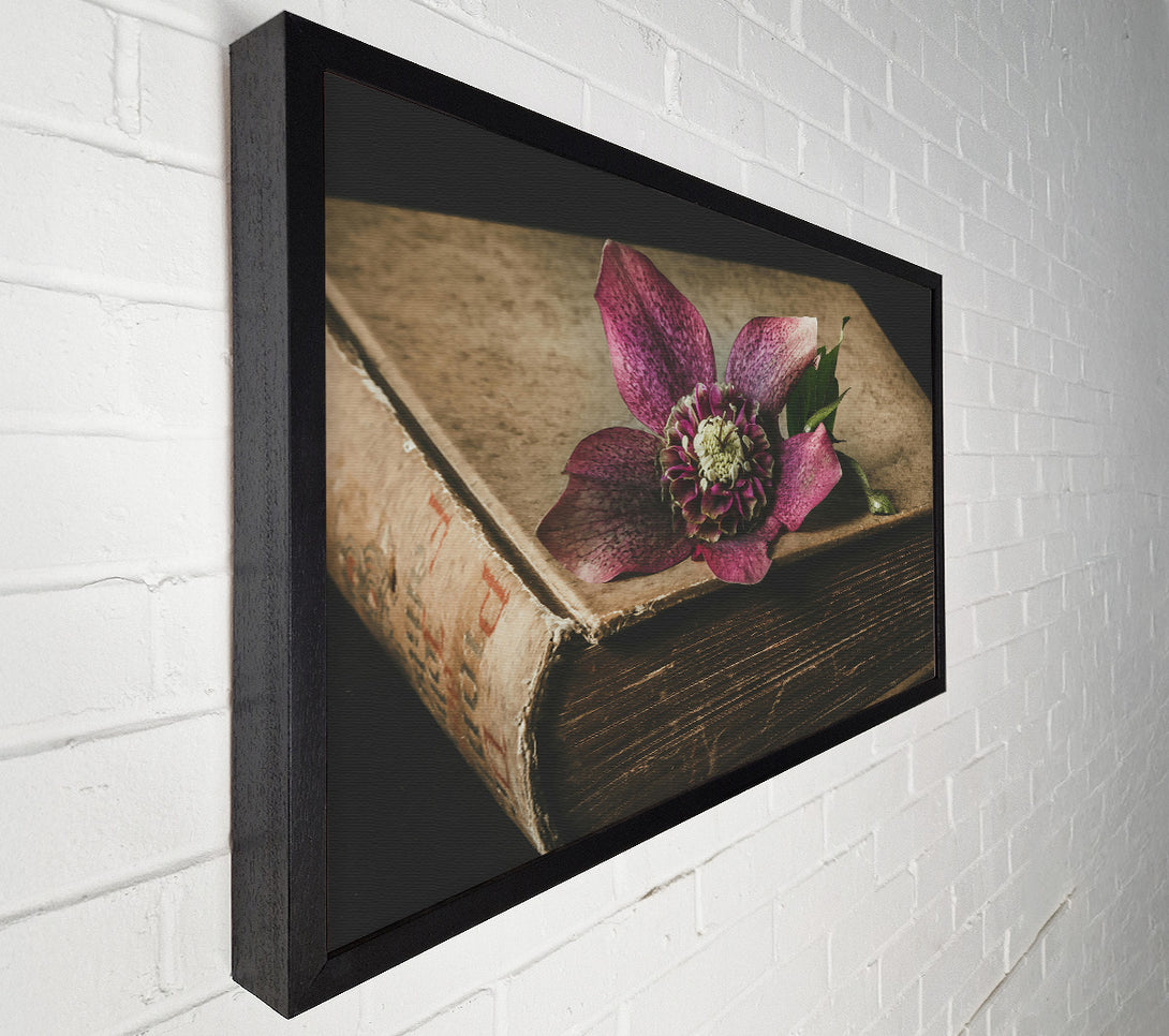  A Canvas Print of Crimson Bloom On Old Book Canvas Wall Art