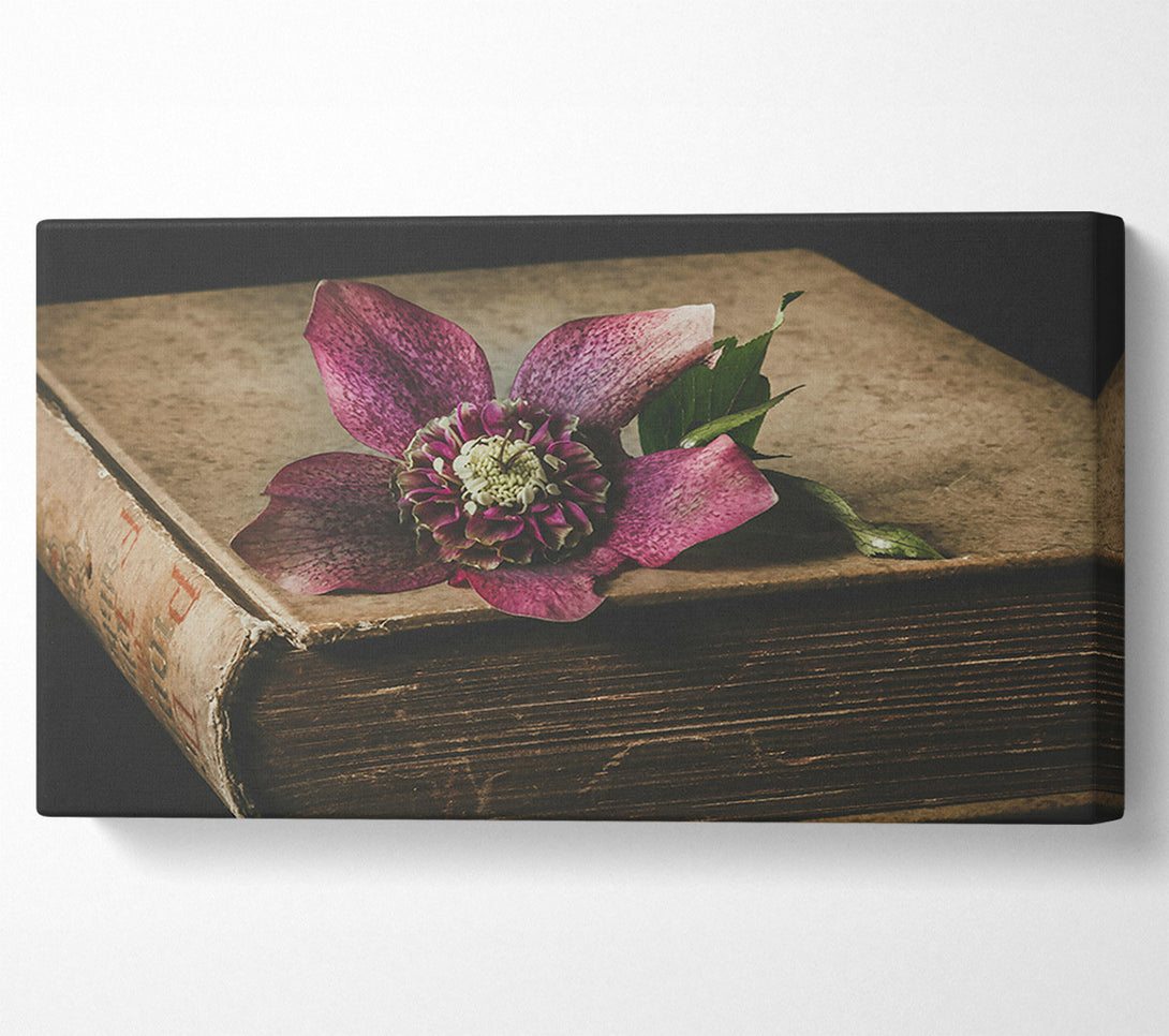  A Canvas Print of Crimson Bloom On Old Book Canvas Wall Art