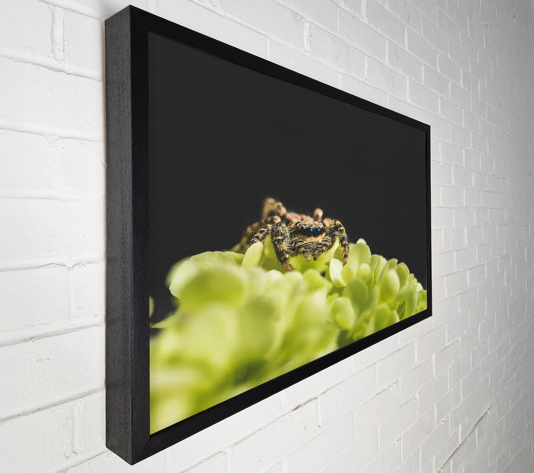  A Canvas Print of Green Flower Hunter Canvas Art