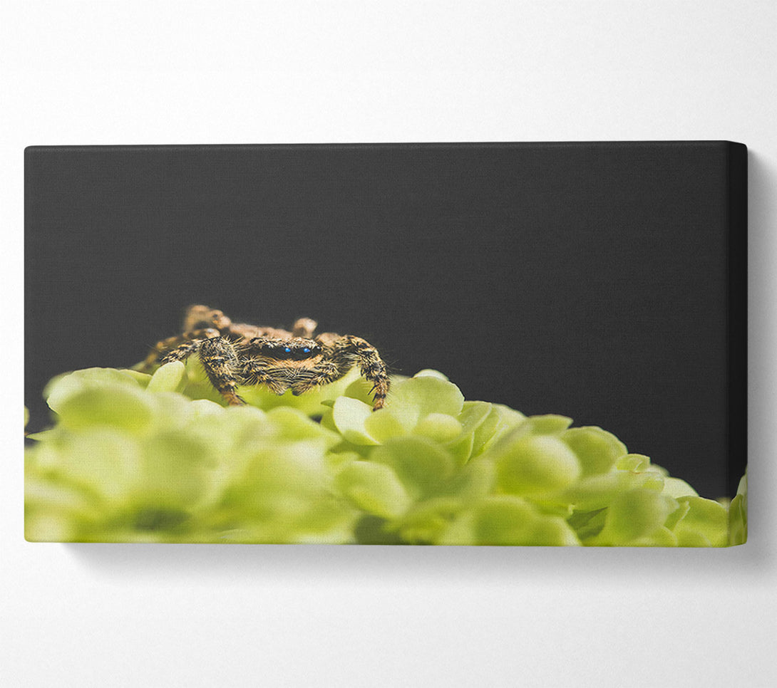  A Canvas Print of Green Flower Hunter Canvas Art