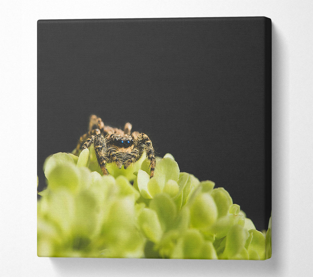  A Canvas Print of Green Flower Hunter Canvas Art