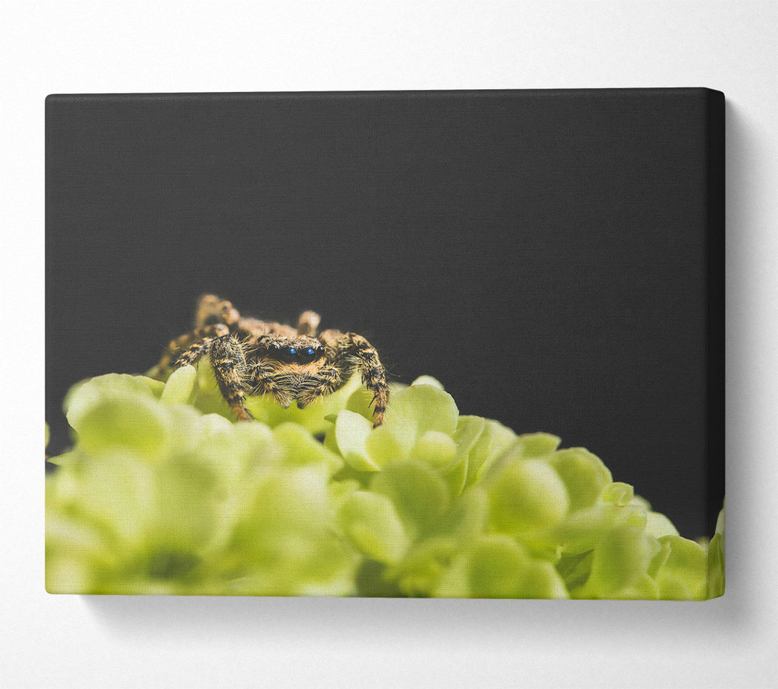  A Canvas Print of Green Flower Hunter Canvas Art
