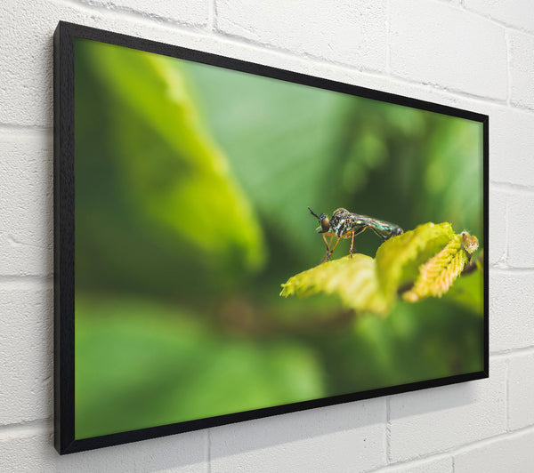 Green Leaf Stalker