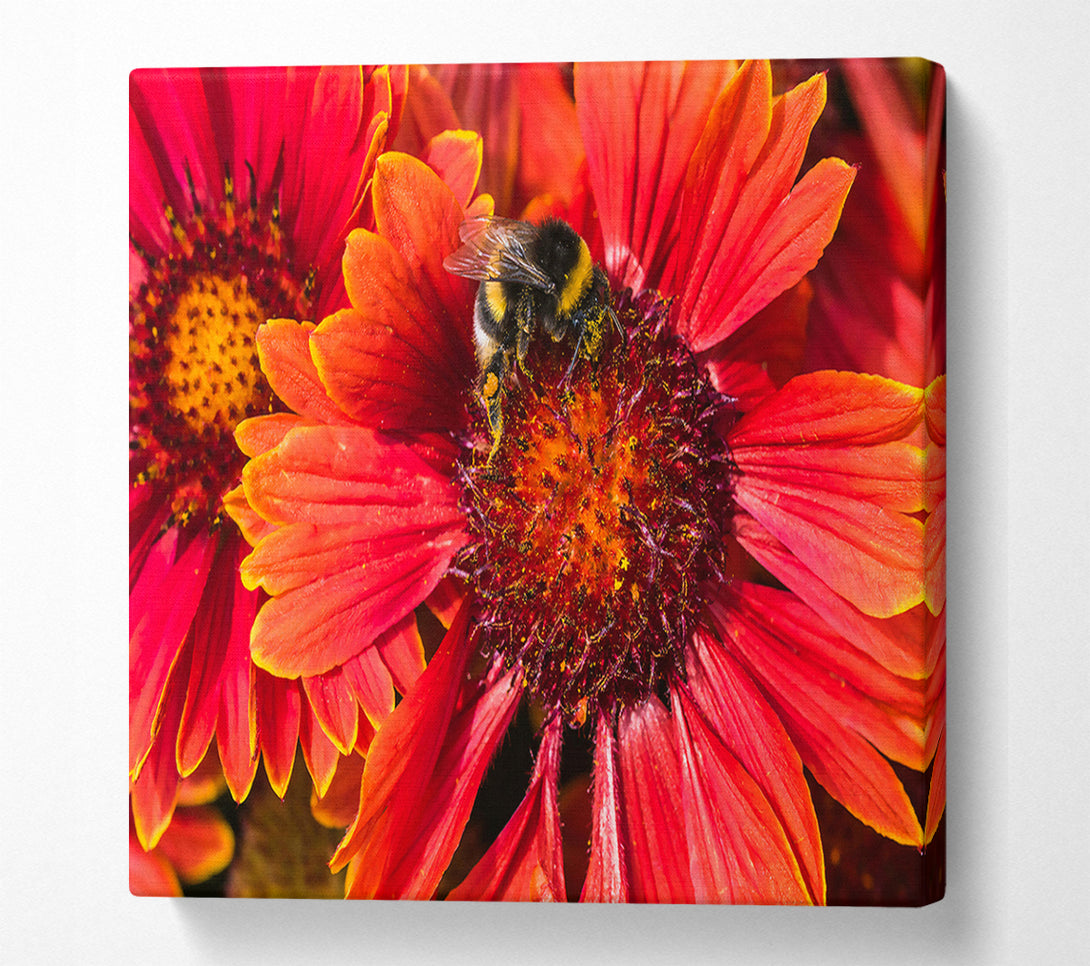  A Canvas Print of Crimson Pollen Dance Canvas Wall Art