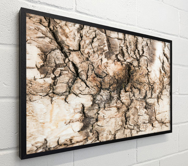 Cracked Bark Beige