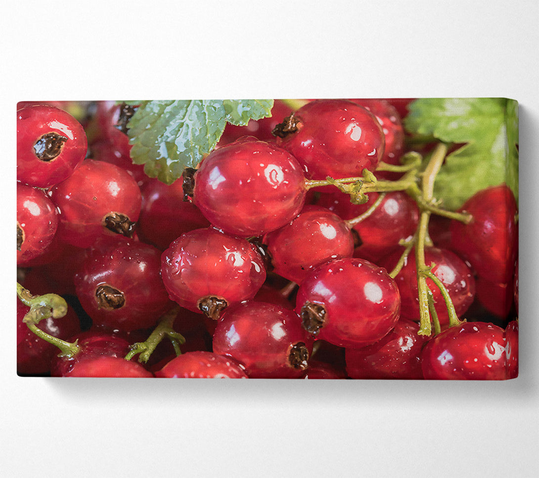  A Canvas Print of Crimson Currant Cluster Canvas Wall Art