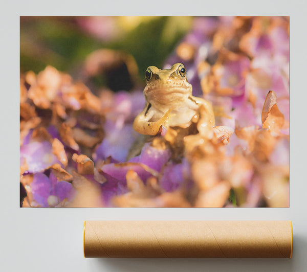 Purple Petal Frog Giclee Print