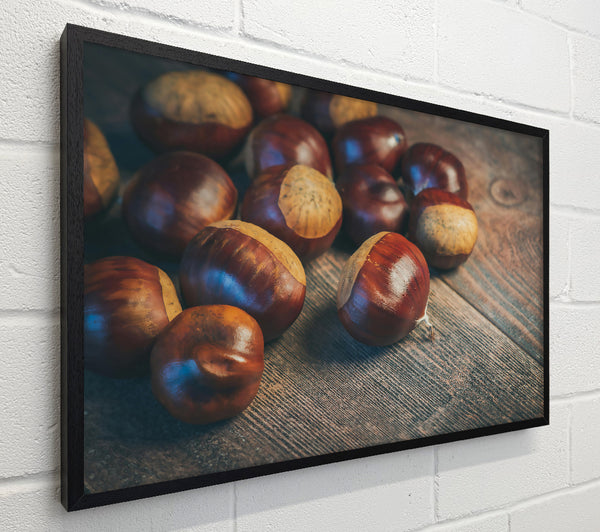 Brown Chestnut Harvest