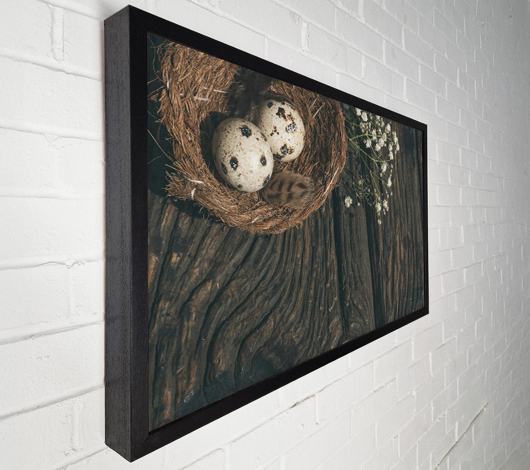  A Canvas Print of Brown Nestled Quail Eggs Canvas Print