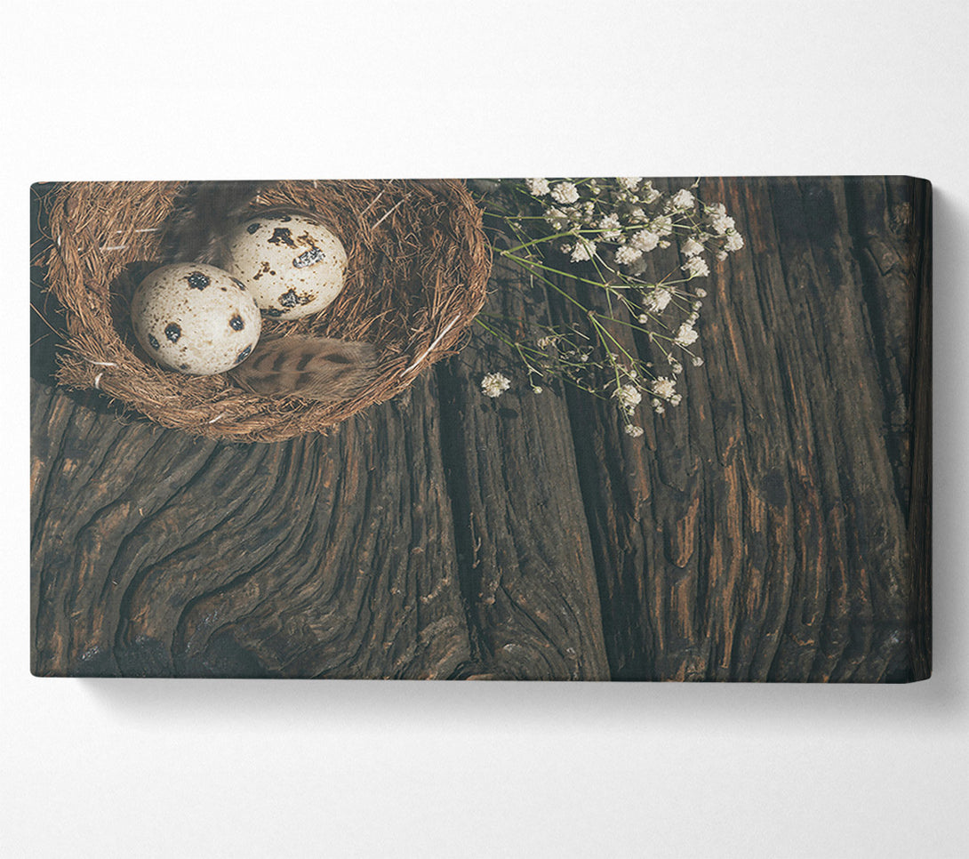  A Canvas Print of Brown Nestled Quail Eggs Canvas Print