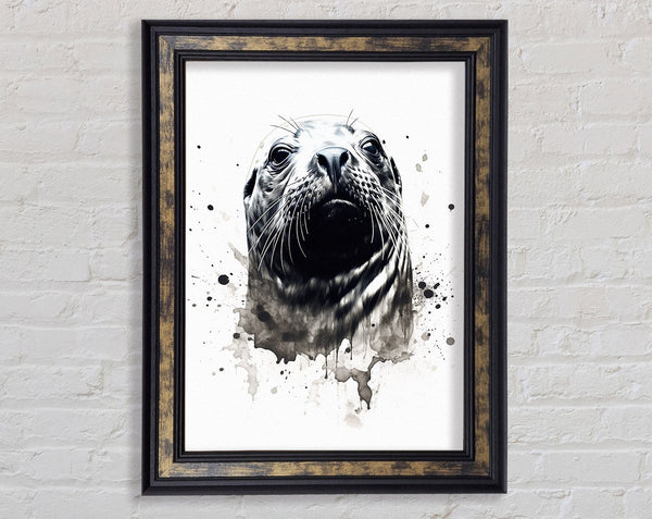 Seal Watercolour Framed Print