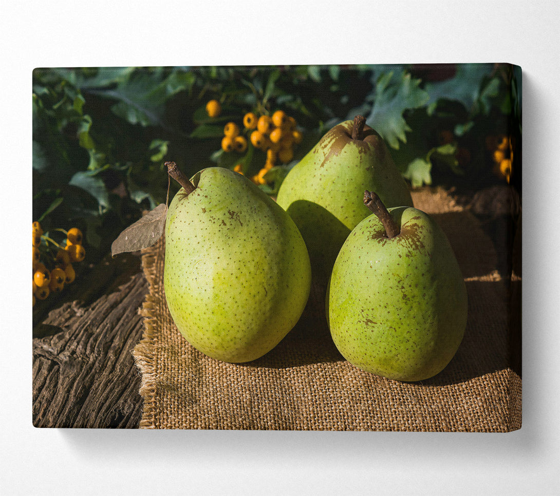  A Canvas Print of Loading... Canvas Print