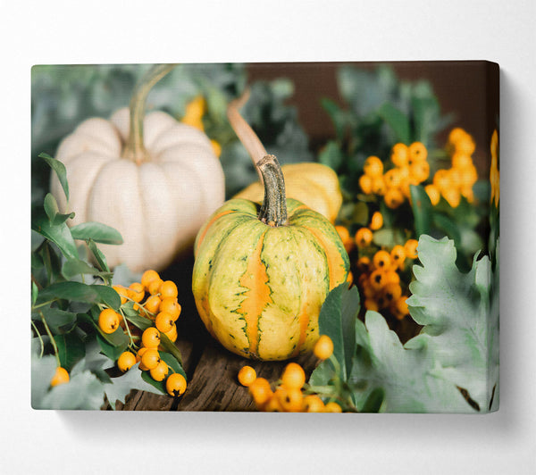  A Canvas Print of Golden Autumn Still Life Canvas Wall Art