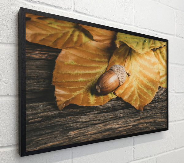 Golden Acorn Autumn