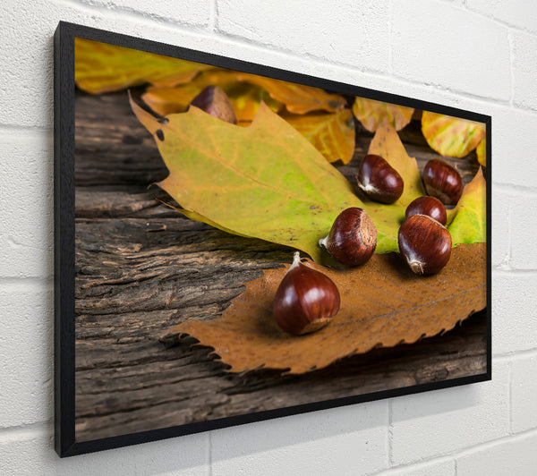 Brown Autumn Treasures