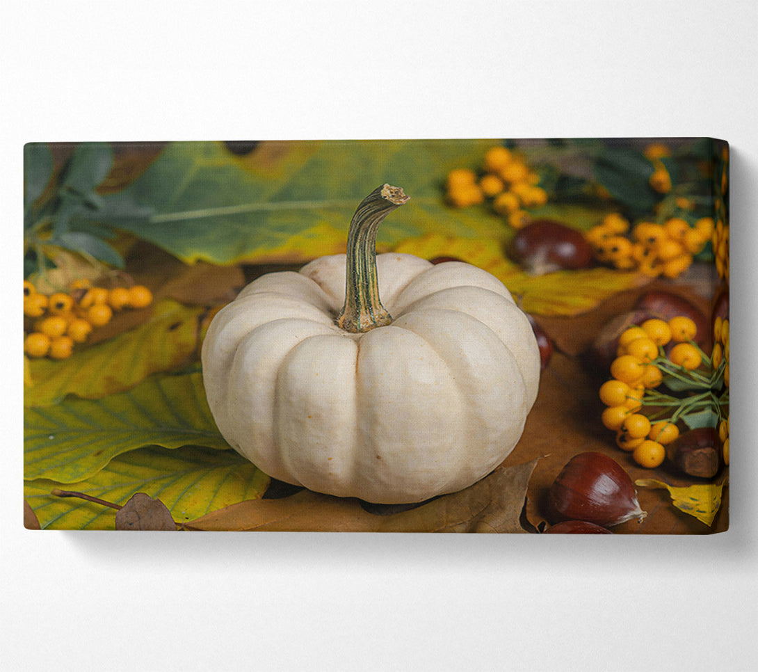  A Canvas Print of Creamy Fall Pumpkin Canvas Print