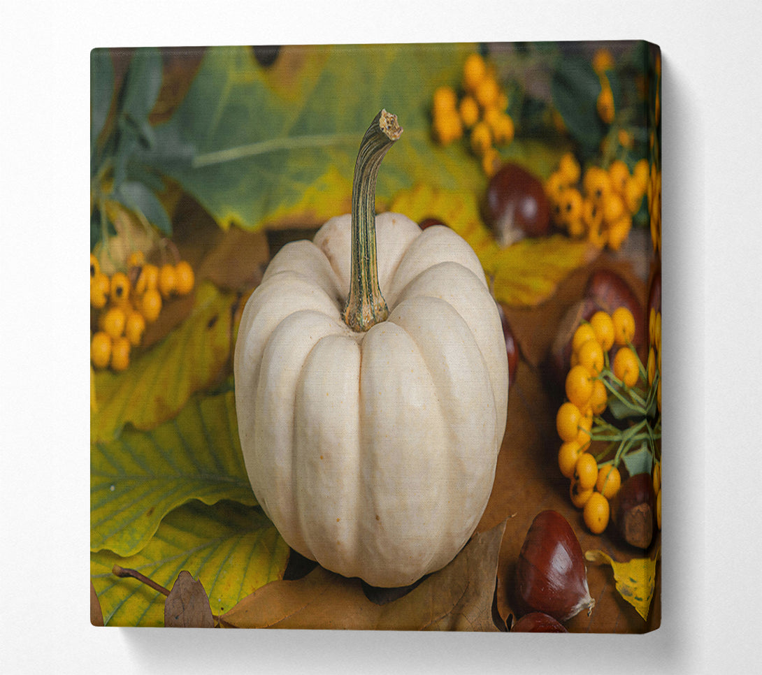  A Canvas Print of Creamy Fall Pumpkin Canvas Print