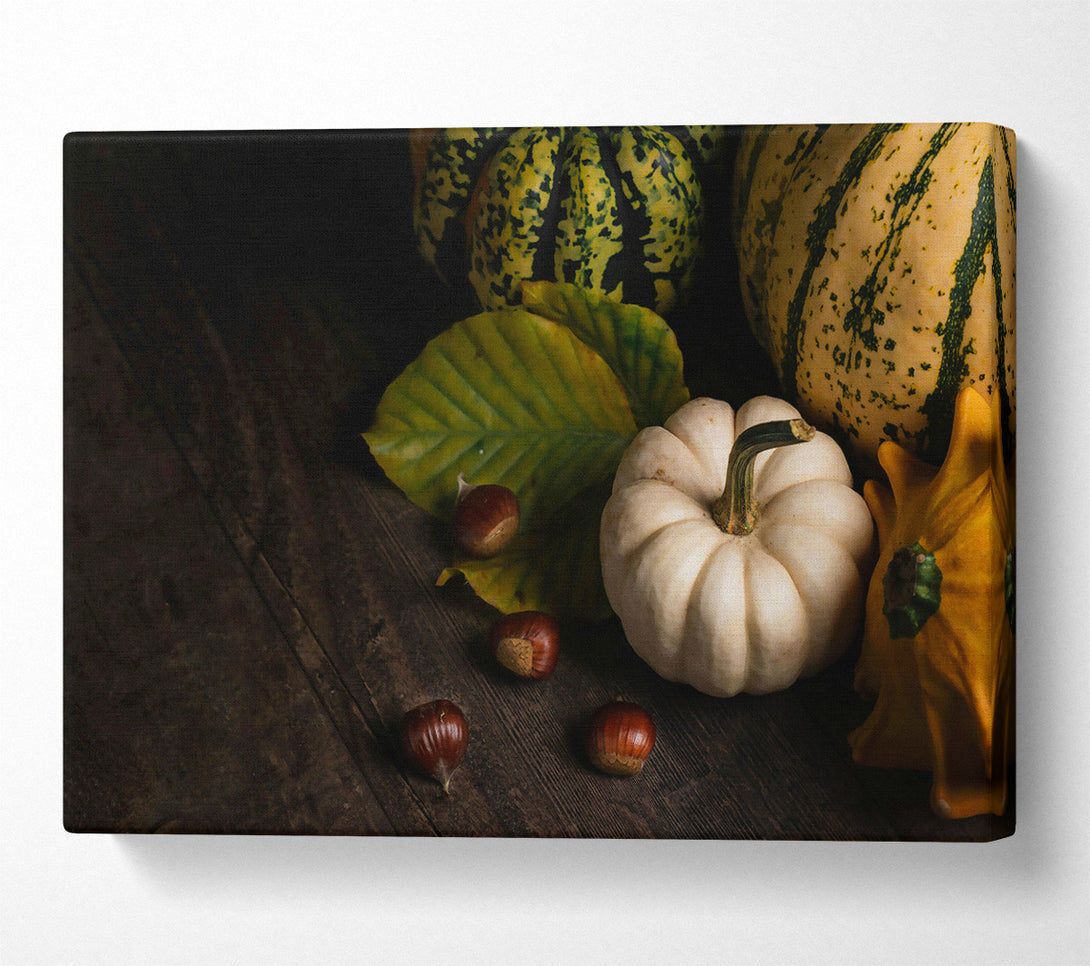 A Canvas Print of White Pumpkin Harvest Canvas Art