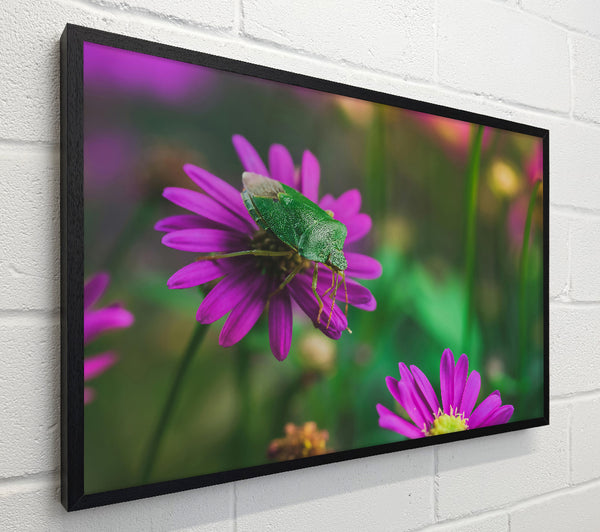 Purple Bloom And Bug