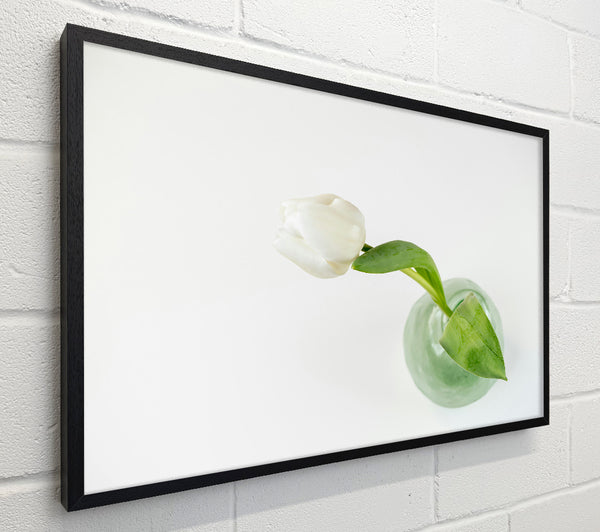 White Tulip In Green Vase