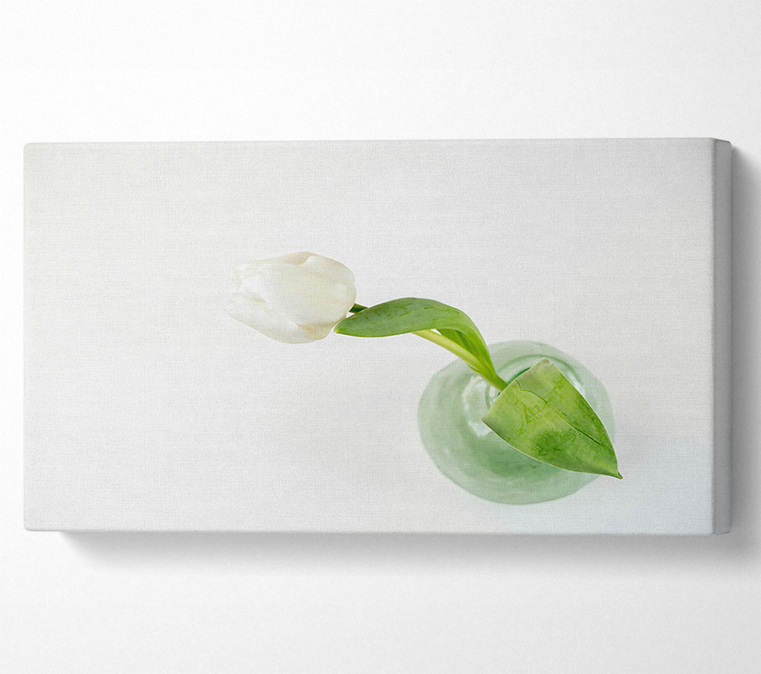  A Canvas Print of White Tulip In Green Vase Canvas Art