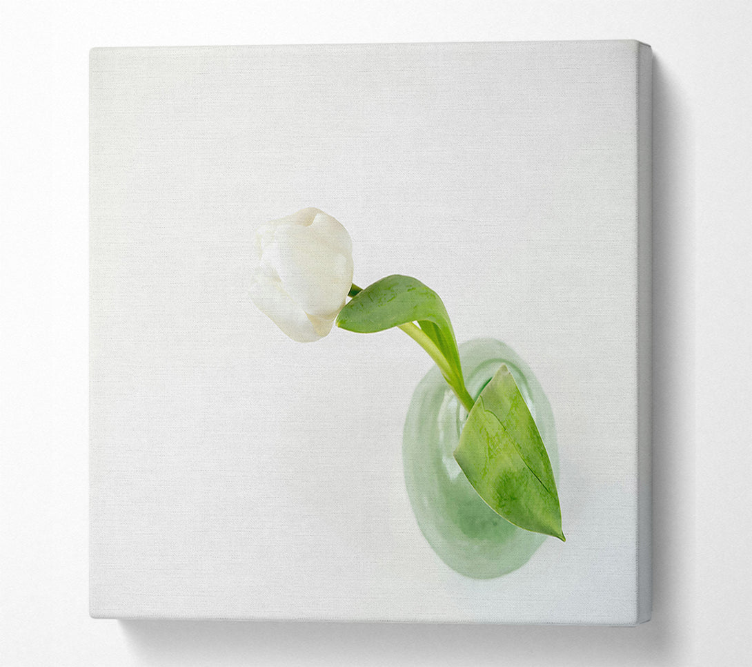  A Canvas Print of White Tulip In Green Vase Canvas Art