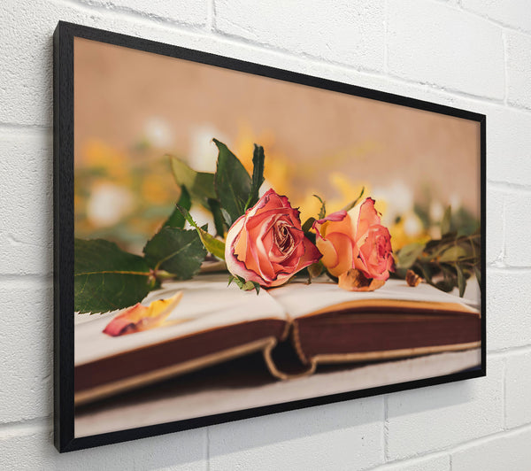 Pale Pink Roses On Book