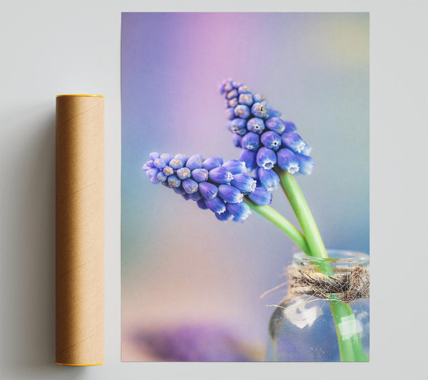 Blue Blooms In Glass Giclee Print