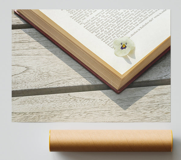 White Flower And Book Giclee Print