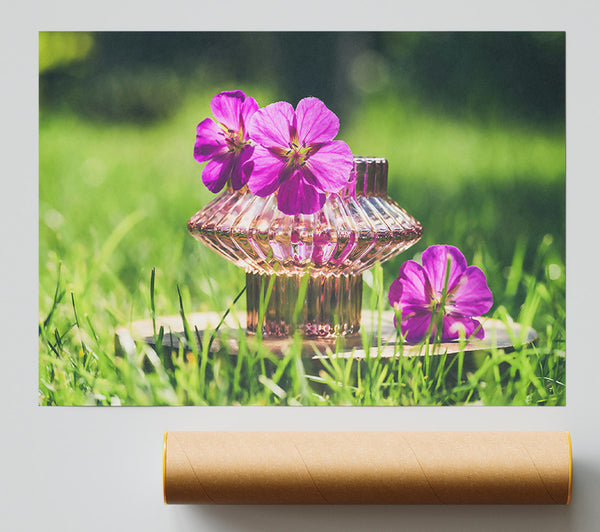 Pink Bloom In Glass Print