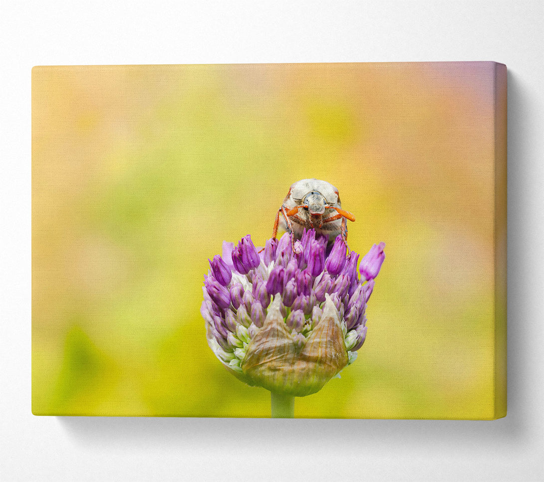  A Canvas Print of Loading... Canvas Print