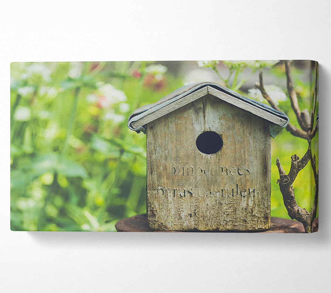  A Canvas Print of Green Wooden Haven Canvas Art