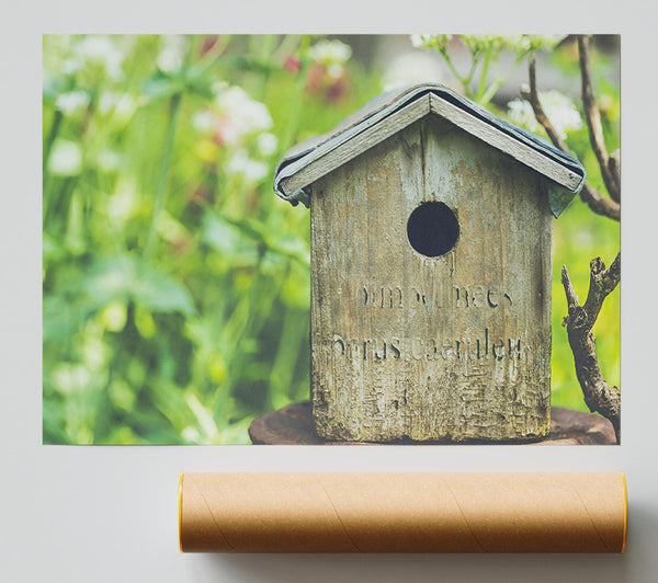 Green Wooden Haven Print