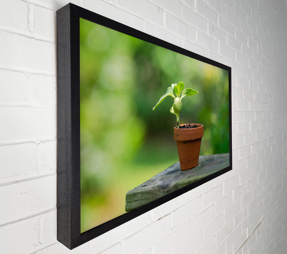  A Canvas Print of Green Terracotta Life Canvas Print