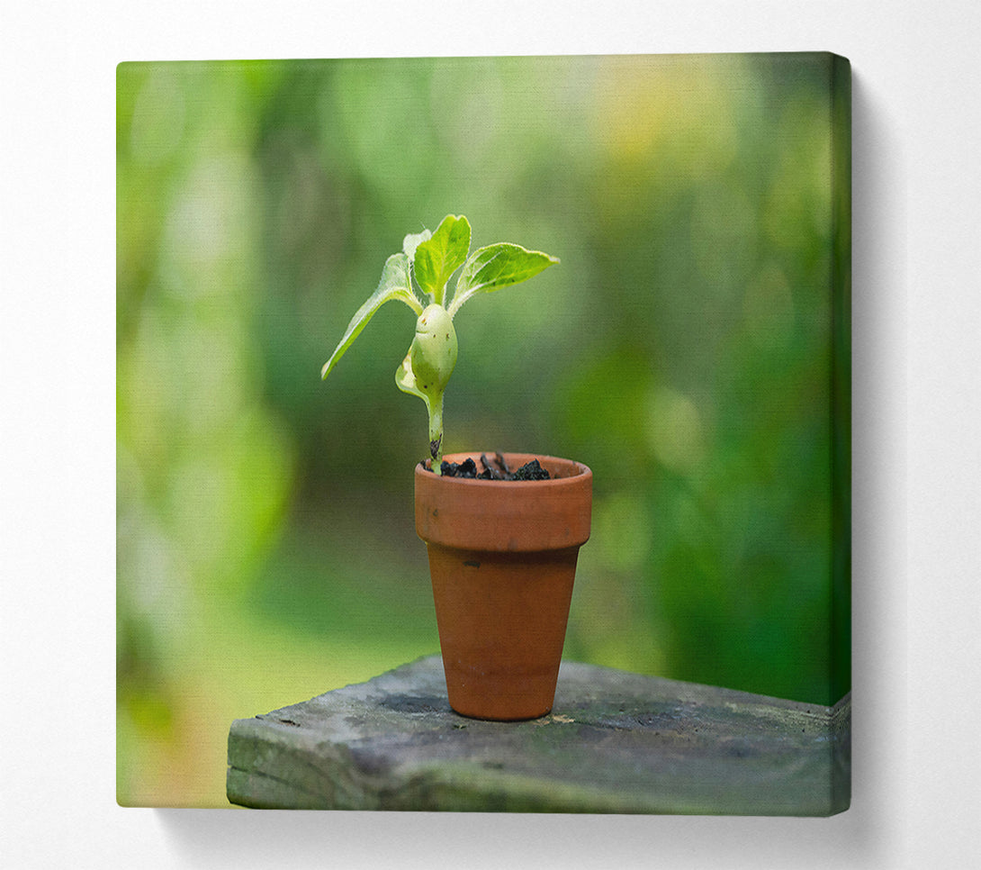  A Canvas Print of Green Terracotta Life Canvas Print