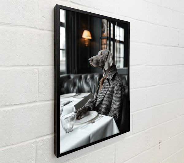 Silver Labrador Ready For Dinner