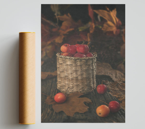 Red Apples In A Basket Print