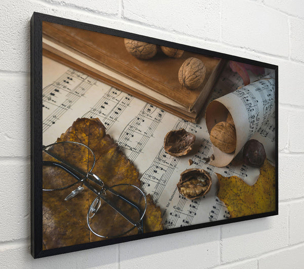 Brown Notes And Shells.