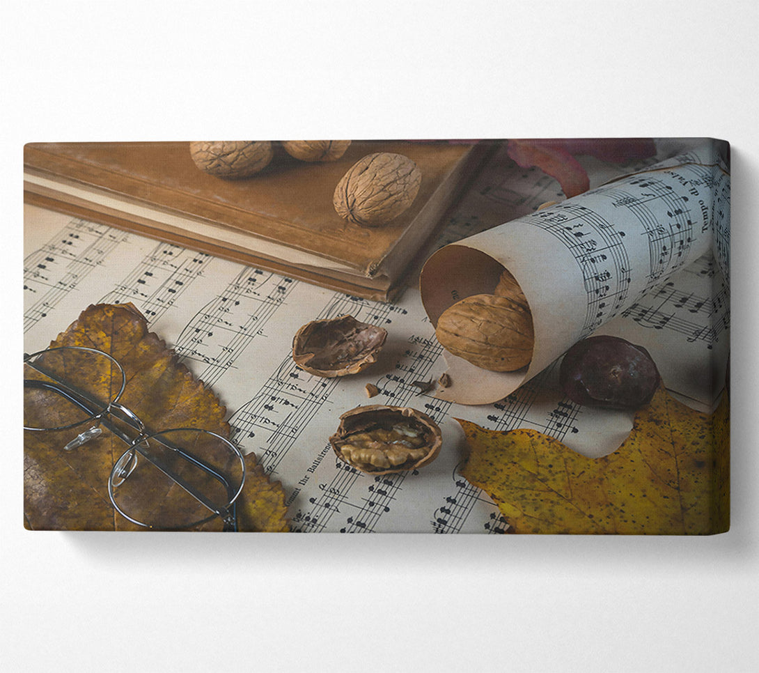  A Canvas Print of Brown Notes And Shells. Canvas Print