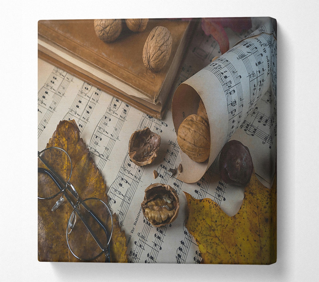  A Canvas Print of Brown Notes And Shells. Canvas Print