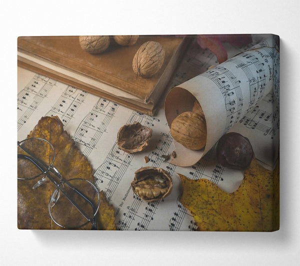  A Canvas Print of Brown Notes And Shells. Canvas Print