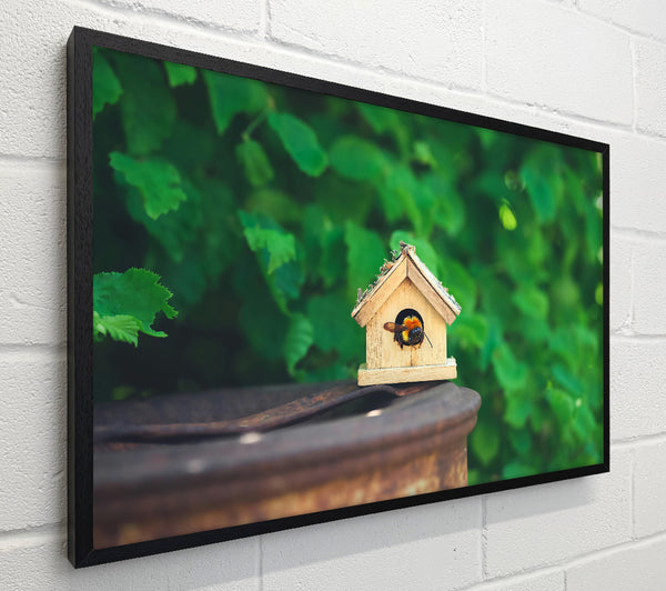 Green Bumble Home