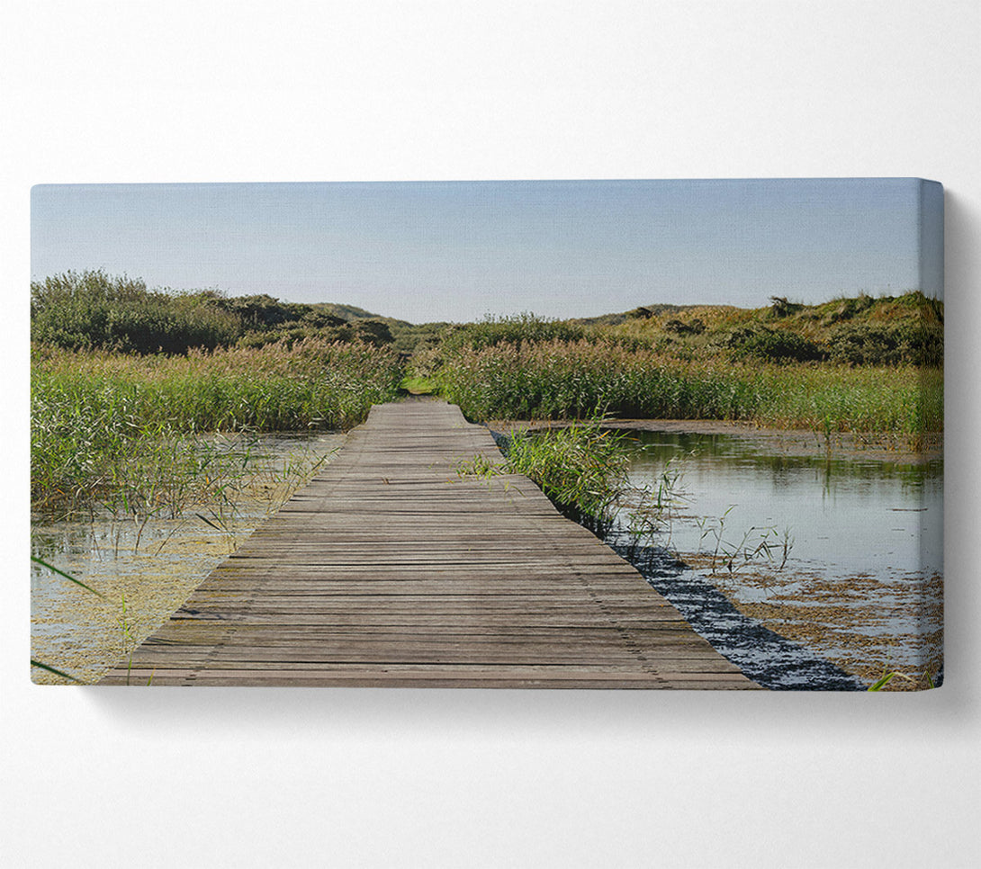  A Canvas Print of Green Path Through Water Canvas Print