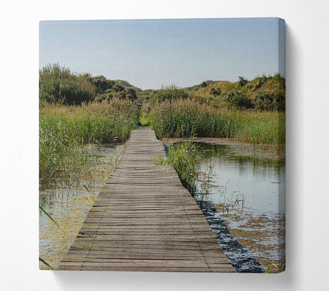  A Canvas Print of Green Path Through Water Canvas Print